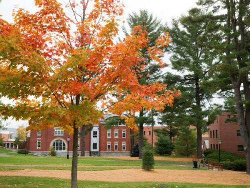 Đại học Amherst (Massachusetts).